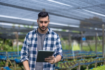 Veggie farm owner uses tablet to monitor growth and foster sustainable agriculture in a greenhouse