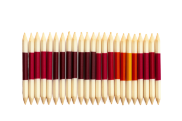 Symphony of Scarlet and Sunburst on a White or Clear Surface PNG Transparent Background.