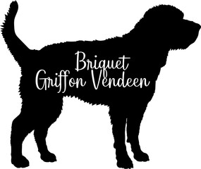 Briquet Griffon Vendeen Dog silhouette dog breeds logo dog monogram vector