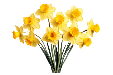 Sunshine Blooms: A Vibrant Vase of Yellow Flowers on a White or Clear Surface PNG Transparent Background.
