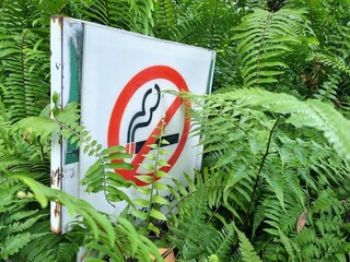 sign of the no smoking area is covered with green fern