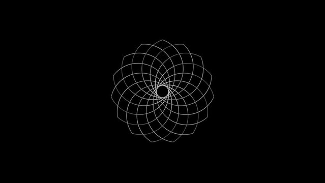 Seamless transform abstraction oriental ornament rings background loop. Looped decorative ethnic flower design. Black and white.