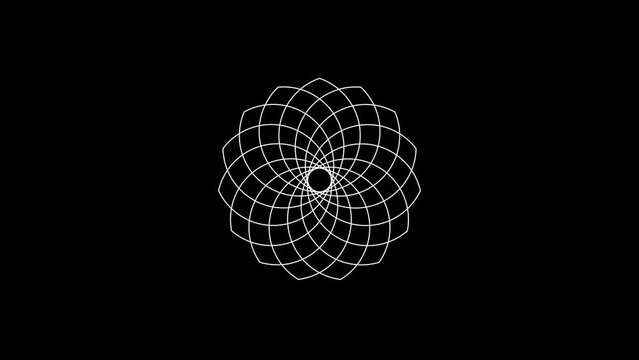 Seamless transform abstraction oriental ornament rings background loop. Looped decorative ethnic flower design. Black and white.