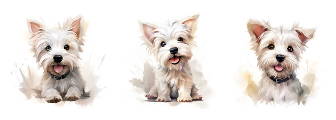 Watercolor image of dogs. Picture. Pet. A cute, cute, cheerful dog. For printing on T-shirts, hoodies. Scrubbooking. Dog breed West Highland White Terrier. Texture.