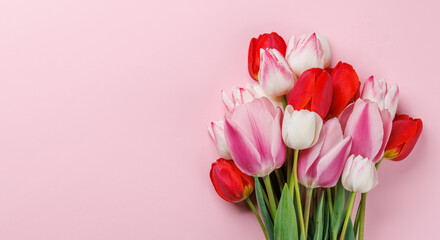 Pastel colorful tulips grace the table, providing a serene and vibrant backdrop