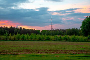 television tower in forest with evening sunset in cloudy sky