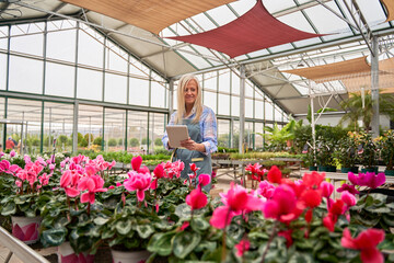 businesswoman working in a greenhouse pointing on her tablet