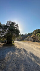 Various photos of the ancient city of Nysa located within the borders of Aydin province