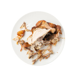 Chicken Leftovers, Unfinished Grilled Chicken on Dirty Plate Isolated, Meat Pieces and Bones