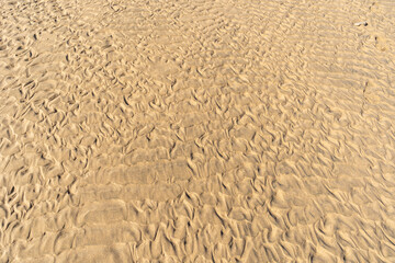 Sand Texture Background, Sandy Beach Pattern, Beige Ocean Dune Wallpaper, Wet Beach
