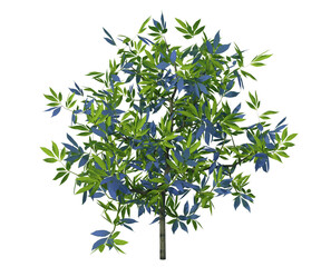 Pianta albero fusto con e senza vaso Albero con e senza foglie arancioni, verdi, gialle, rosse fondo trasparente e isolato