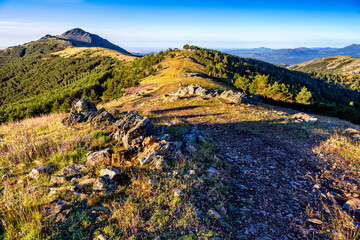 Collado de La Tiesa