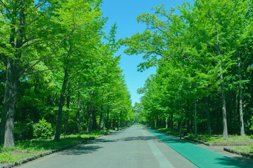 ランニングコース　緑の公園