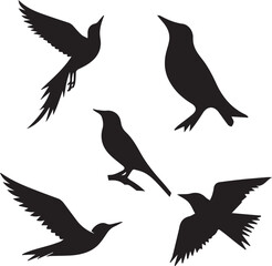 Birds flying image - Silhouette of birds -Vector Image of bird