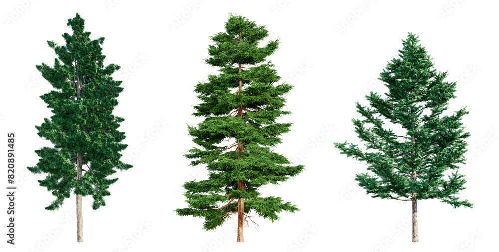 Poster set of coniferous trees isolated on transparent background. 3d render.