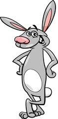 funny cartoon rabbit comic animal character