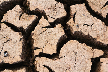The soil is dry and cracked in the dry season.