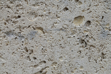 Pierre calcaire fossile murale beige