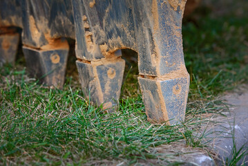 Excavator bucket teeth biting into the ground closeup. Detailed view of bucket teeth on an excavator digging into soil, heavy machinery..