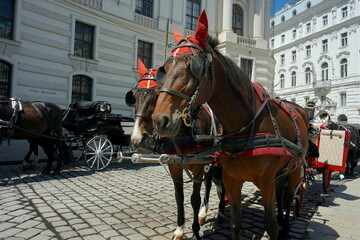 Kutsche mit Pferden vor der Wiener Hofburg