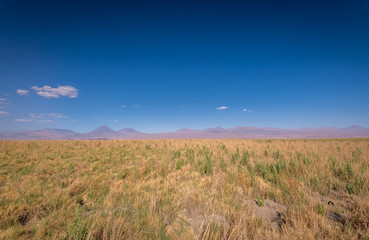 desert landscape of the highlands of Chile