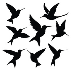 Set of Anna’s Hummingbird black Silhouette Vector on a white background