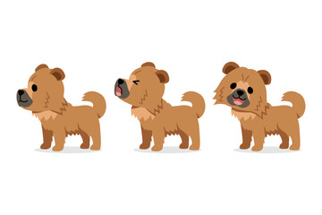 Set of vector cartoon character cute chow chow dog for design.