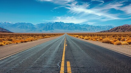 A long, empty road stretching into the desert with a tumbleweed crossing and mountains in the distance, symbolizing the vastness and solitude of openroad travel