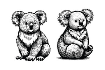 koala illustration. hand drawn koala black and white vector illustration. isolated white background © Nurjen