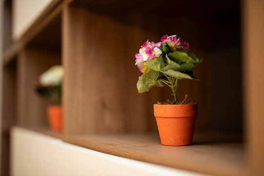 Flower d&eacute;cor furniture