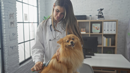 A young woman veterinarian grooming a happy pomeranian dog in a veterinary clinic interior