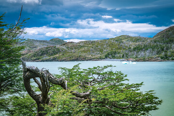 Grey glacier in Torres del Paine National Park, in Chilean Patagonia
