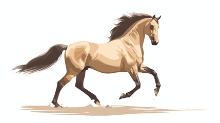 Andalusian horse trotting. Equine animal of Spanish background