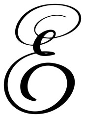 Hand drawn vector calligraphy letter E. Script font logo. Handwritten brush style flourish