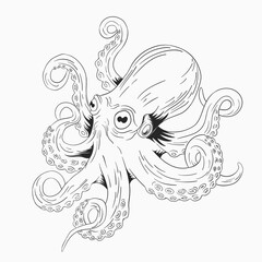 Hand drawn octopus drawing illustration for coloring book