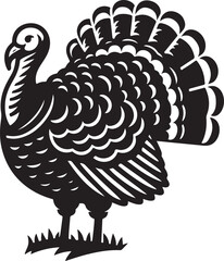 turkey vector ilastration