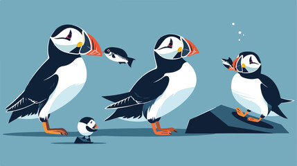 Atlantic puffins flat vector illustration. North faun