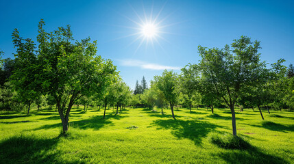 Obraz premium Verdant Orchard Bursting with Ripe Fruit Under a Pristine Blue Sky in Summer