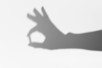 Shadow of a hand holding a pill on a white isolated background. Concept of pharmacy and dietary supplements