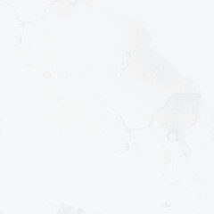 Vector Abstract Painting. White Marble Stone Pattern. Fluid Elegant Ceramic. Light Alcohol Ink Marble. White Water Color Watercolor. Light Tile Floor. Grey Abstract Background. Grey Marble Watercolor.