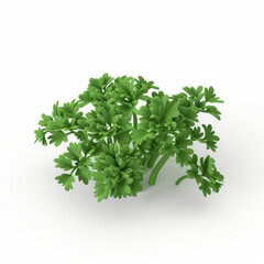 Fototapeta premium parsley icon in 3D style on a white background