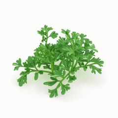 Obraz premium parsley icon in 3D style on a white background