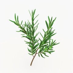 Fototapeta premium rosemary icon in 3D style on a white background