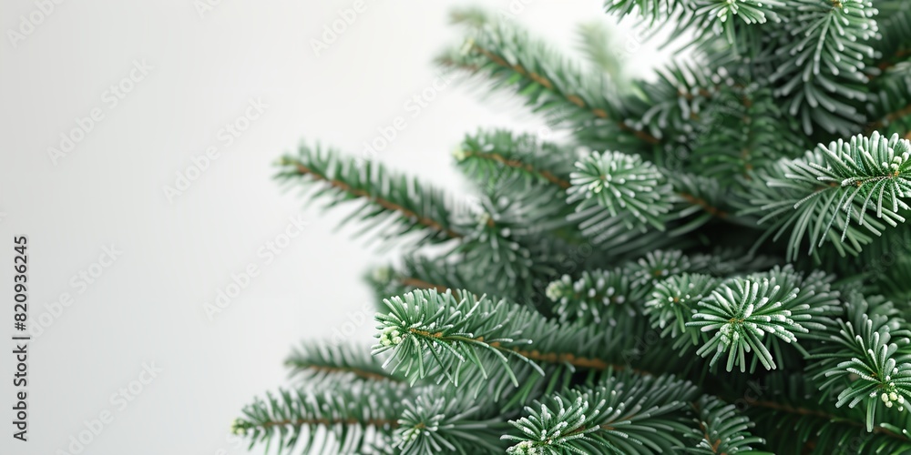 Poster a close up of a pine tree with needles on it's branches and a white background