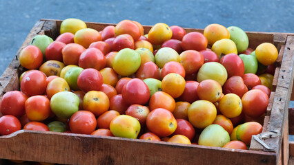 a small to medium size of fresh vegetables tomatoes