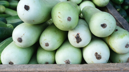 A bunch of boutle gourds beautifully arranged for selling  in the market
