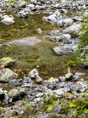 日本周遊　奈良県吉野森林めぐり