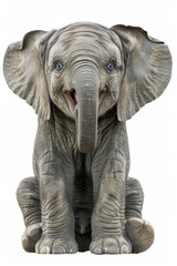 An elephant with a wide, joyful grin, looking happy, isolated on a white background