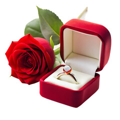 valentines day marry me wedding engagement ring
