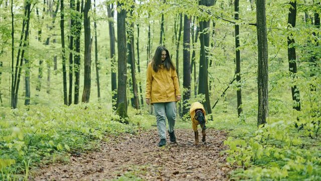 young woman walking with her doberman dog in the forest. Wearing yellow rain jackets girl and dog playing outdoors. Human and dog friendship concept